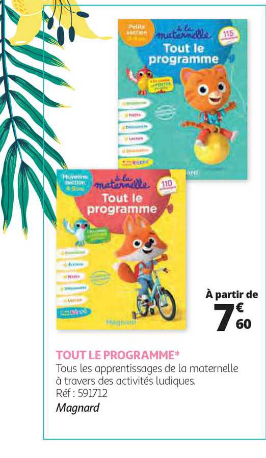 tout le programme magnard