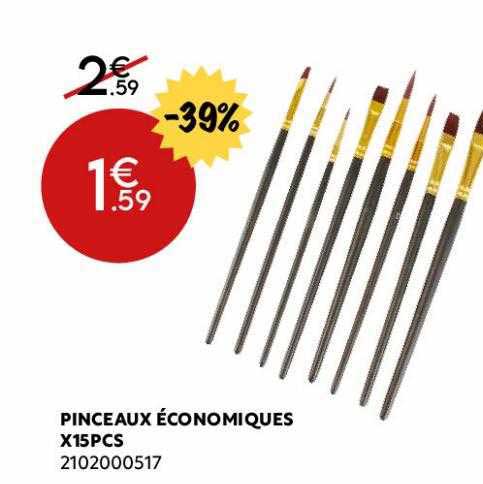 pinceaux économiques x15pcs