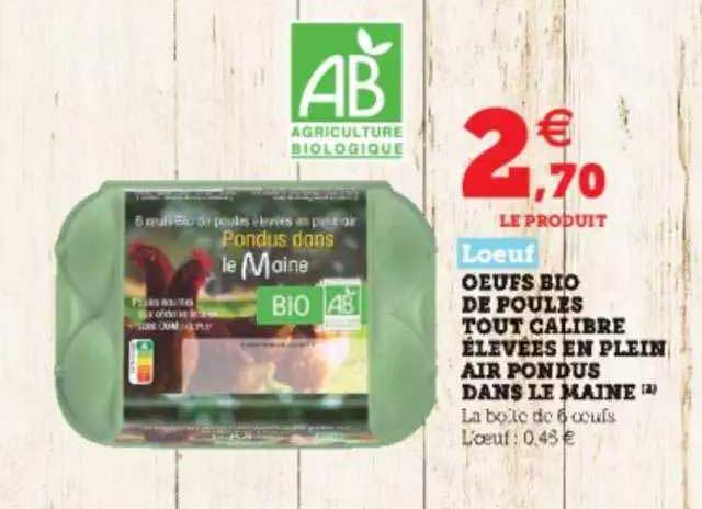 oeufs bio de poules tout calibre élevées en plein air pondus dans le maine l'œuf