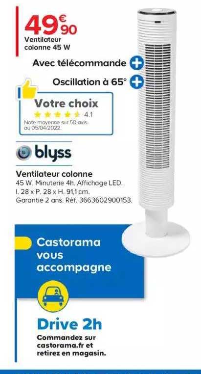 ventilateur colonne 45 w blyss