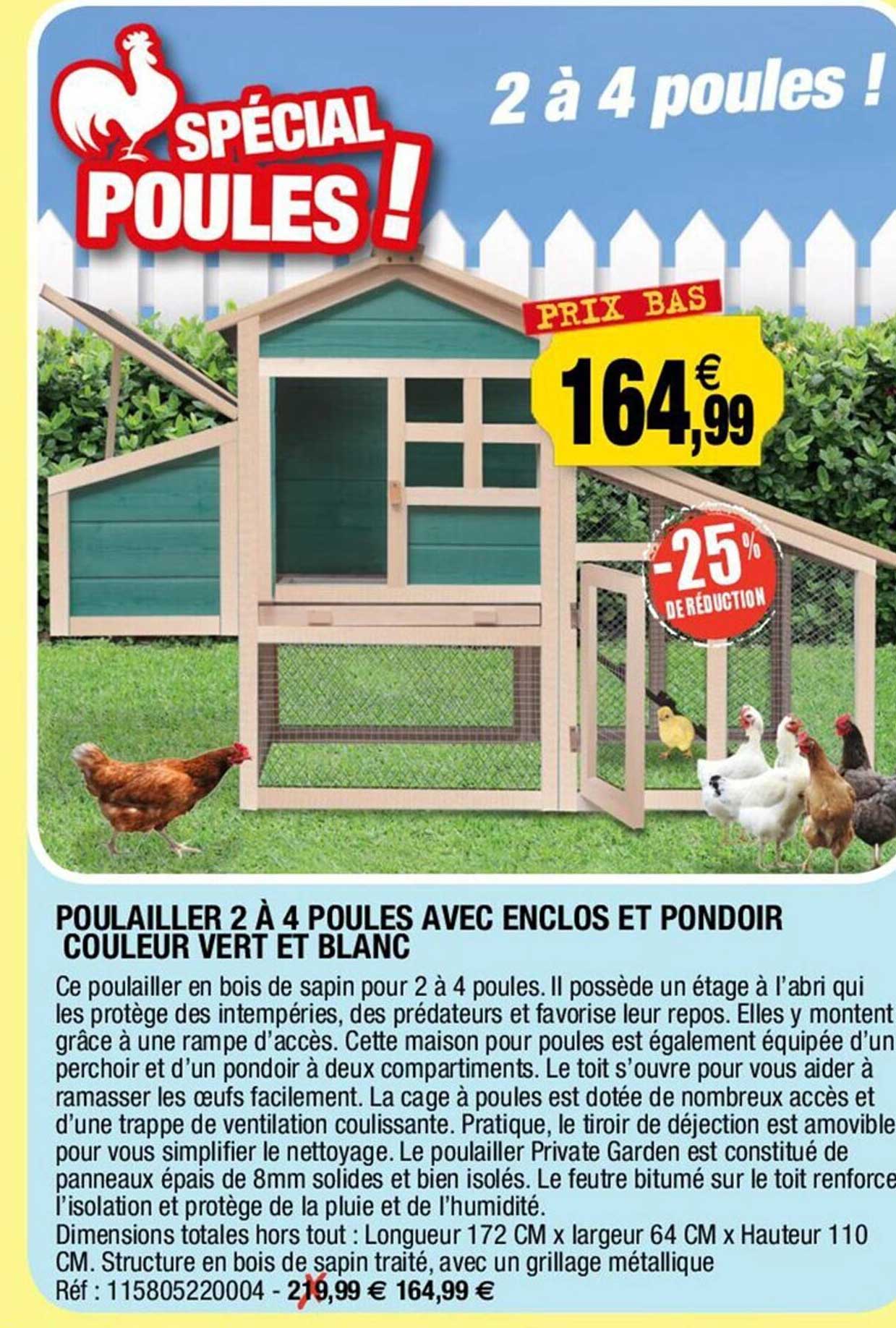 Poulailler 2 à 4 Poules Avec Enclos Et Pondoir Couleur Vert Et Blanc