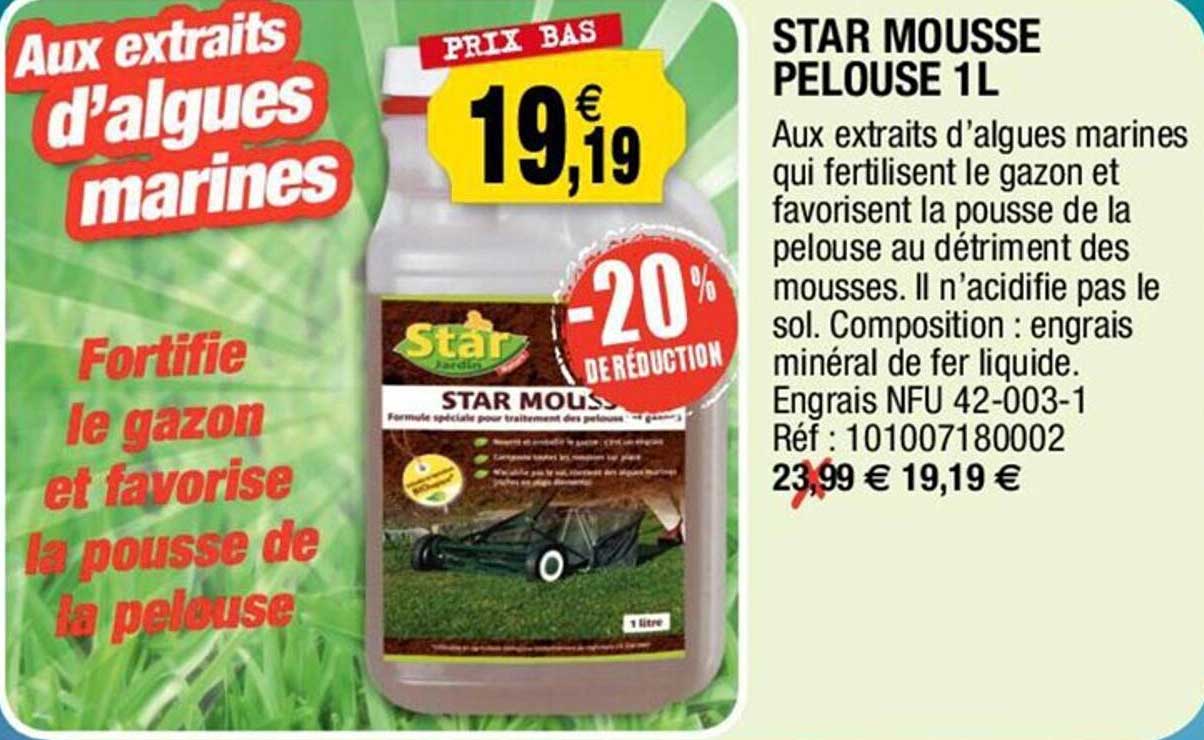 Star Mousse Pelouse 1l
