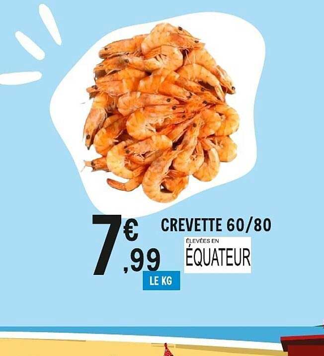 CREVETTE 60/80