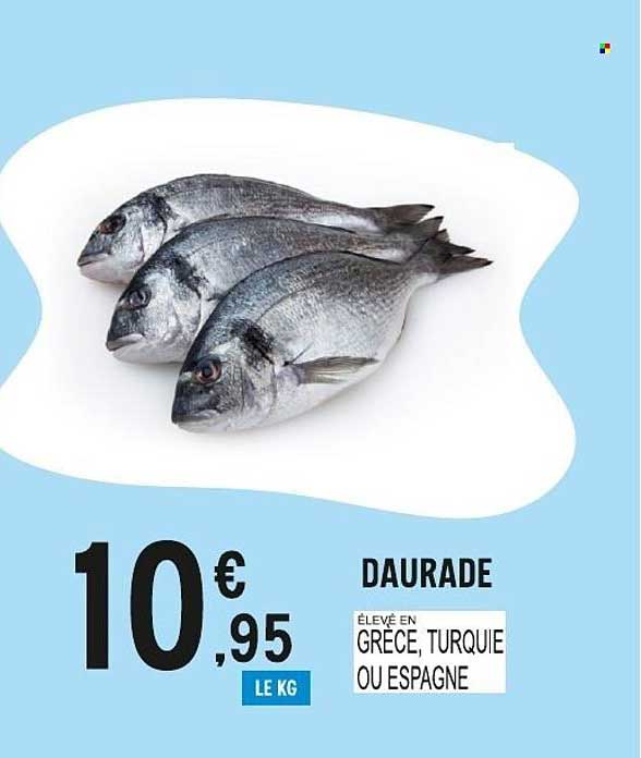 DAURADE