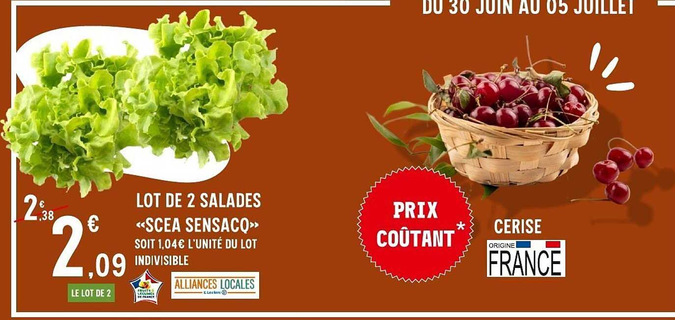 LOT DE 2 SALADES