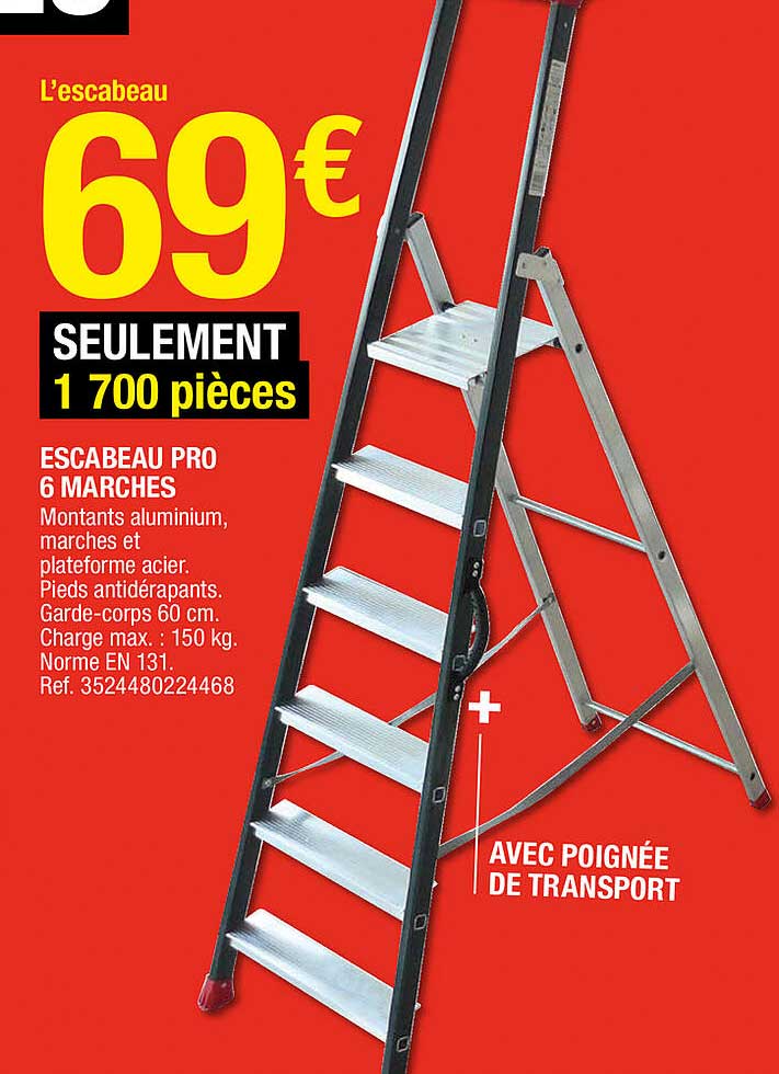 Escabeau Pro 6 Marches