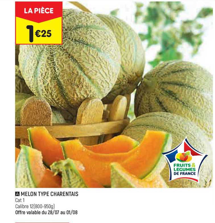 melon type charentais