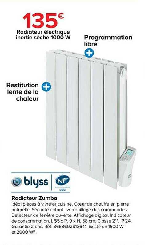 radiateur zumba blyss