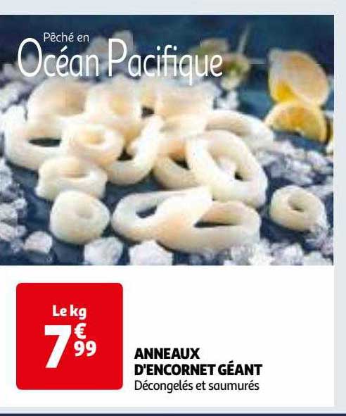 anneaux d'encornet géant