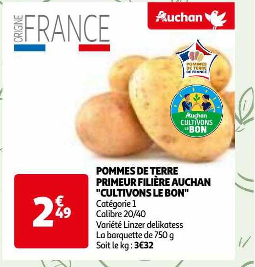 pommes de terre primeur filière auchan "cultivons le bon"