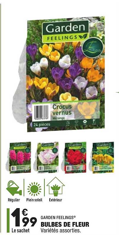 bulbes de fleur garden feelings