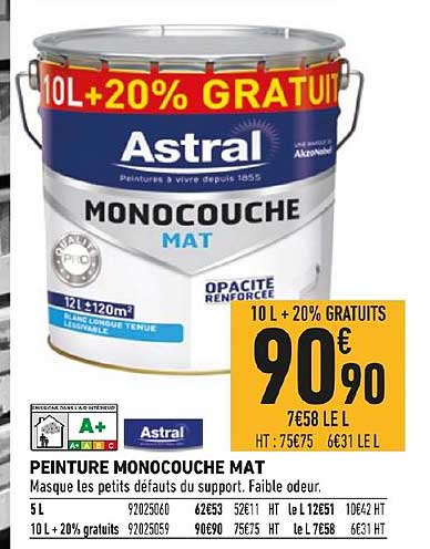 peinture monocouche mat astral