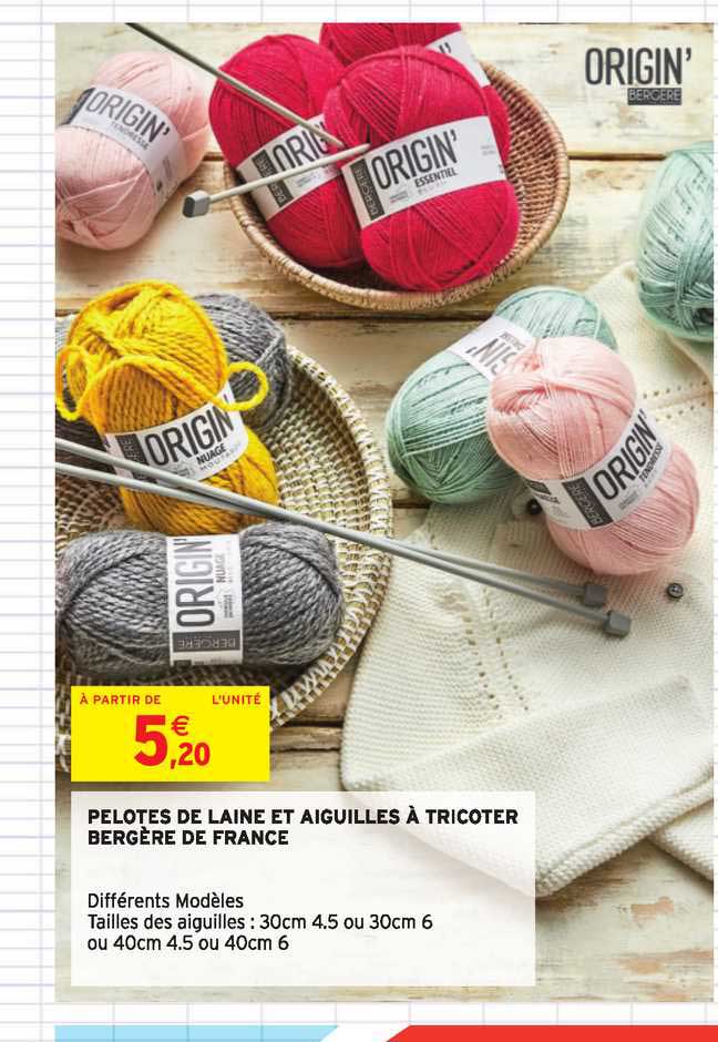 pelotes de laine et aiguilles à tricoter bergère de france