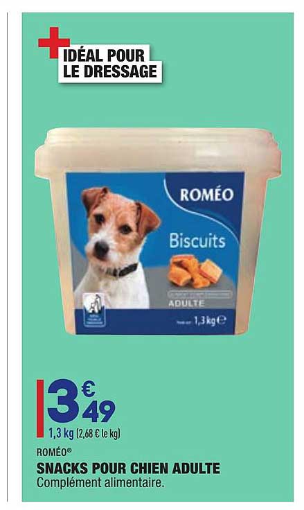 snacks pour chien adulte roméo