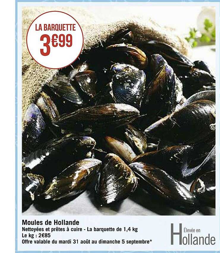 moules de holland