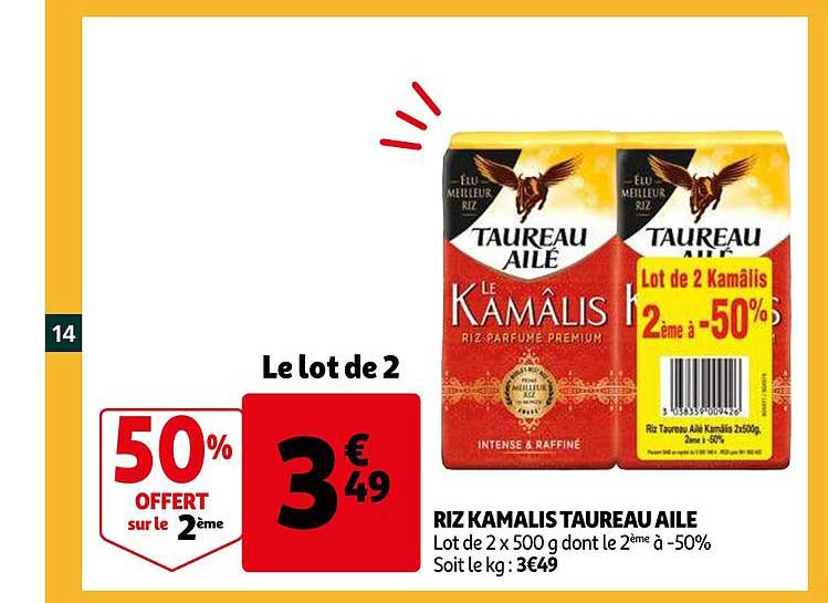 riz kamalis taureau ailé