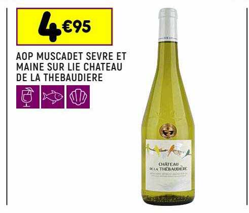 aop muscadet sevre de maine sur lie chateau de la thebaudière