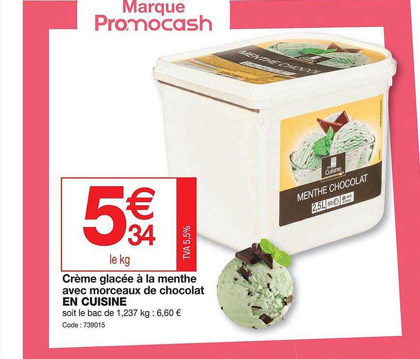 Crème Glacée à La Menthe Avec Morceaux De Chocolat En Cuisine