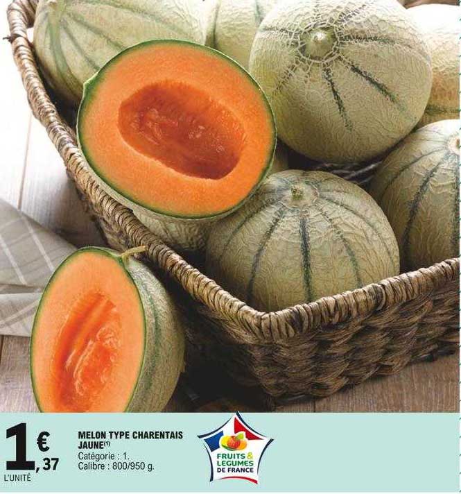 melon type charentais jaune