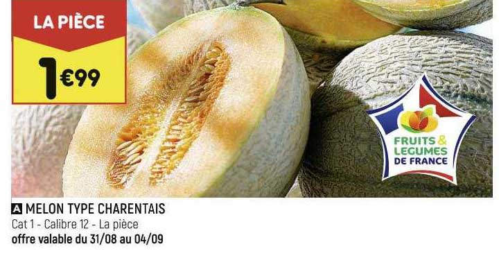 melon type charentais