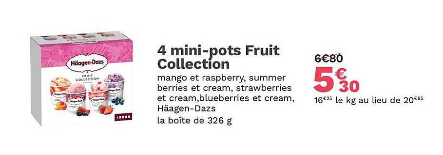 4 mini-pots fruit collection häagen-Dazs