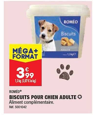 biscuits pour chien adulte roméo