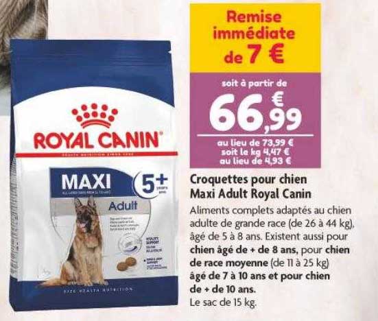 croquettes pour chien amxi adult royal canin