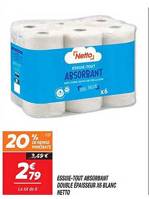 essuie-tout absorbant double épaisseur x6 blanc netto