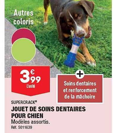jouet de soins dentaires pour chien supercrack