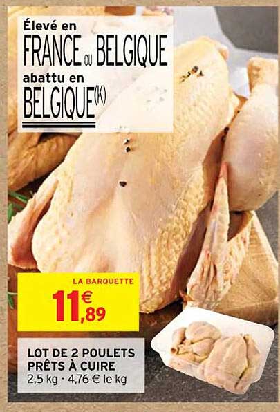 lot de 2 poulets prêts à cuire