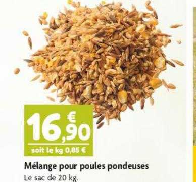 mélange pour poules pondeuses