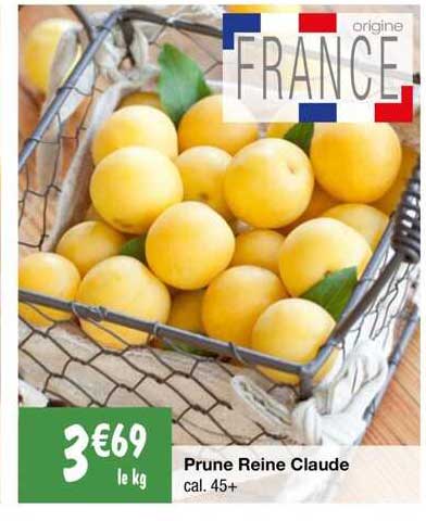 prune reine claude