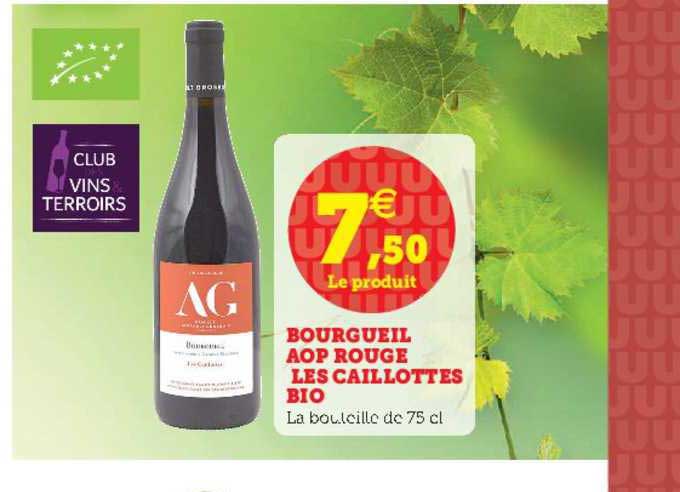 bourgeuil aop rouge les caillottes bio