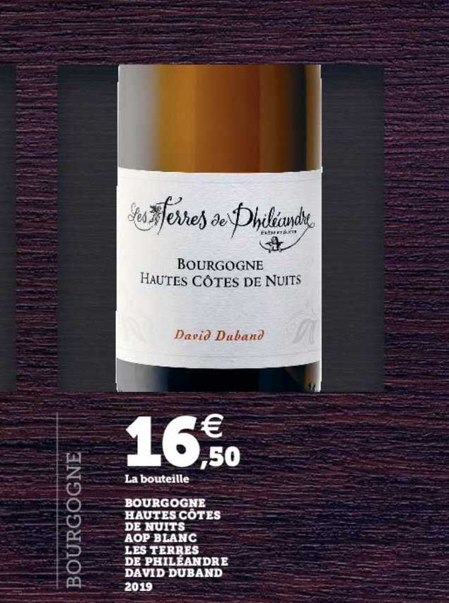 bourgogne hautes côtes de nuits aop blanc les terres de philéandre david duband 2019