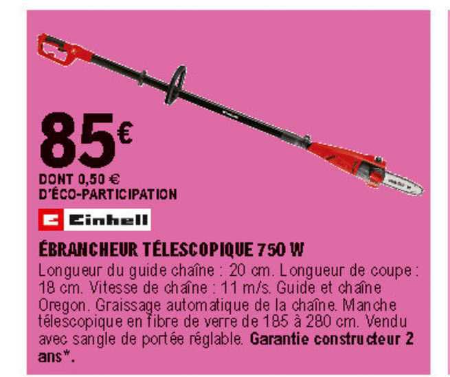 ébrancheur télescopique 750 w einhell