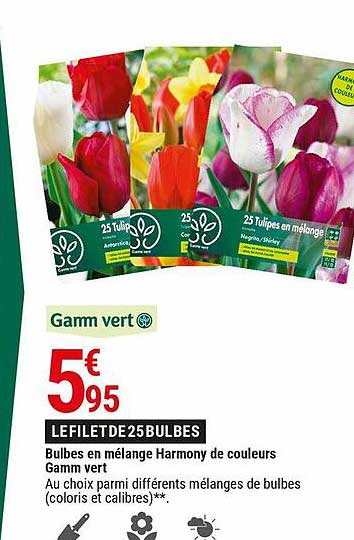 Bulbes En Mélange Harmony De Couleurs Gamm Vert