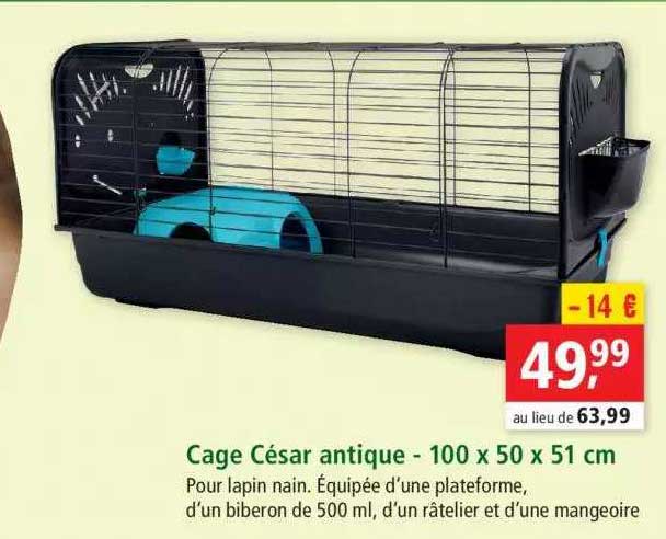 cage césar antique - 100 x 50 x 51 cm