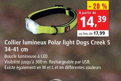 collier lumineux polar light dogs creek s 34-41 cm