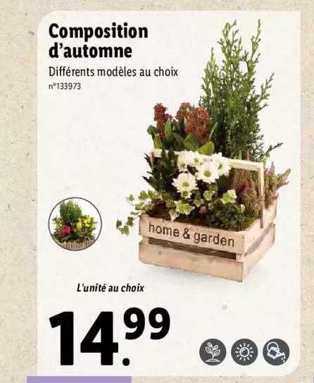 composition d'automne