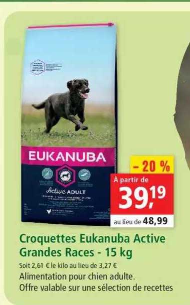 croquettes eukanuba active grandes races - 15 kg