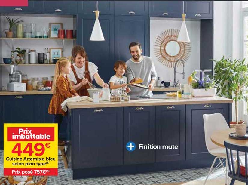 cuisine artemisia bleu selon plan type