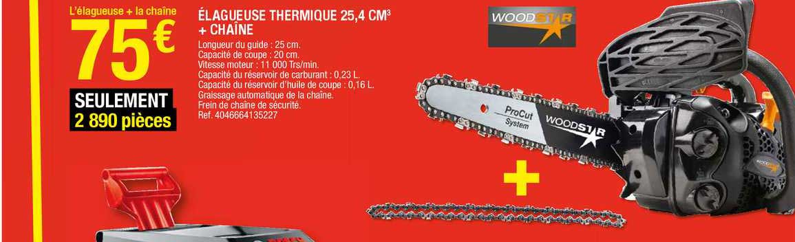 élagueuse thermique 25,4 cm3 + chaîne