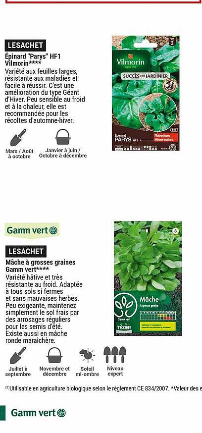 épinard "parys" hf1 vilmorin, mâche à grosses graines gamm vert