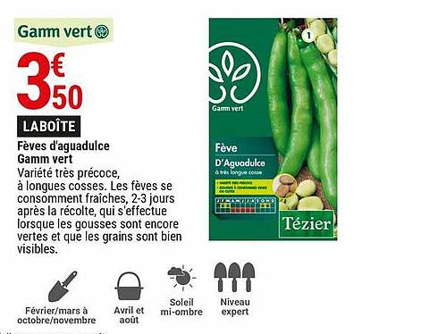 fèves d'aguadulce gamm vert