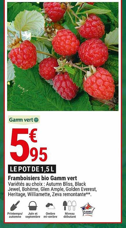 framboisiers bio gamm vert