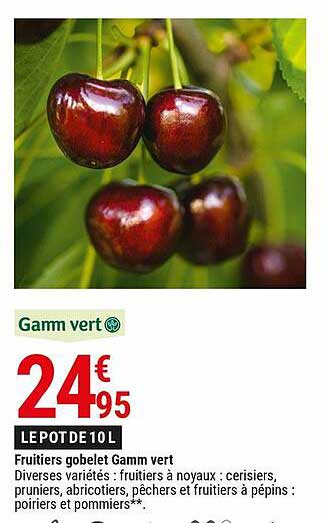 fruitiers gobelet gamm vert