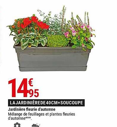 jardinière fleurie d'automne
