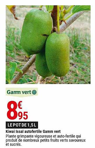 Kiwai Issaï Autofertile Gamm Vert
