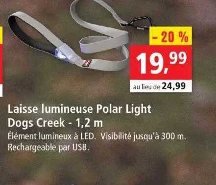 laisse lumineuse polar light dogs creek - 1,2 m
