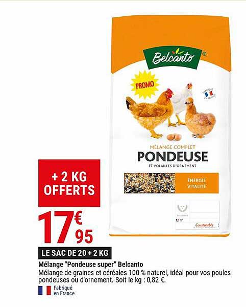 mélange "pondeuse super" belcanto